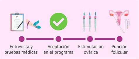 Esquema del proceso de donación de óvulos