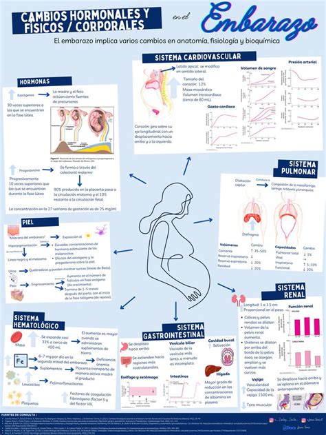 Infografía explicativa sobre los cambios hormonales y su relación con el deseo sexual durante los tratamientos reproductivos.