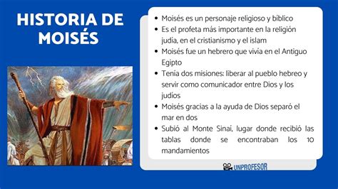 Infografía detallando las medidas de un moisés y sus componentes