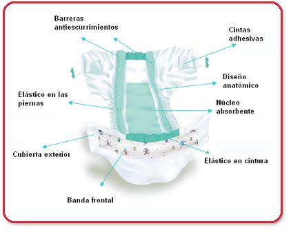 Diagrama de un pañal desechable mostrando la capa de poliacrilato de sodio