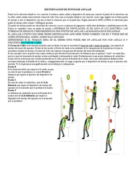 Esquema técnico del chasis Jane Rider mostrando los puntos de anclaje y compatibilidad con sacos a medida