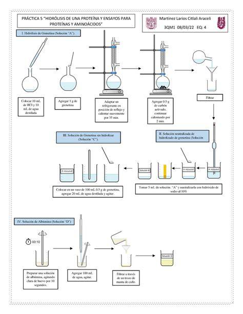Diagrama de flujo del proceso de hidrólisis de proteínas de arroz