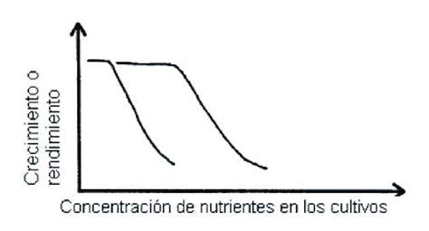 Gráfico que ilustra el efecto de la concentración de nutrientes en el crecimiento y el grado de bacteriosis en las plantas (basado en Marschner, 1995).