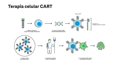 Esquema de funcionamiento de la terapia CAR-T