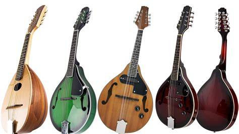 Muestra comparativa de mandolinas tipo A, tipo F y una mandolina napolitana clásica