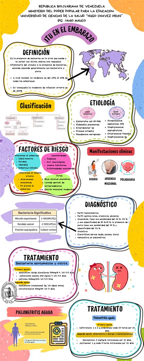 Infografía que muestra el tracto urinario femenino y las zonas afectadas por cada tipo de ITU