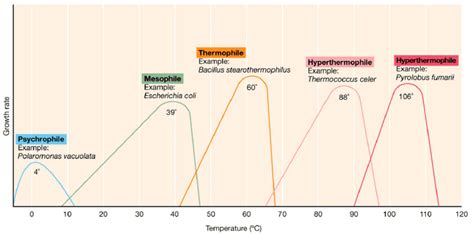 Gráfico comparativo de temperaturas óptimas y niveles de luz para diferentes géneros de orquídeas.