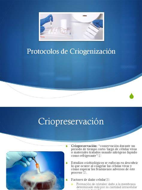 Diagrama comparativo de protocolos de criopreservación estándar y ultrarrápido