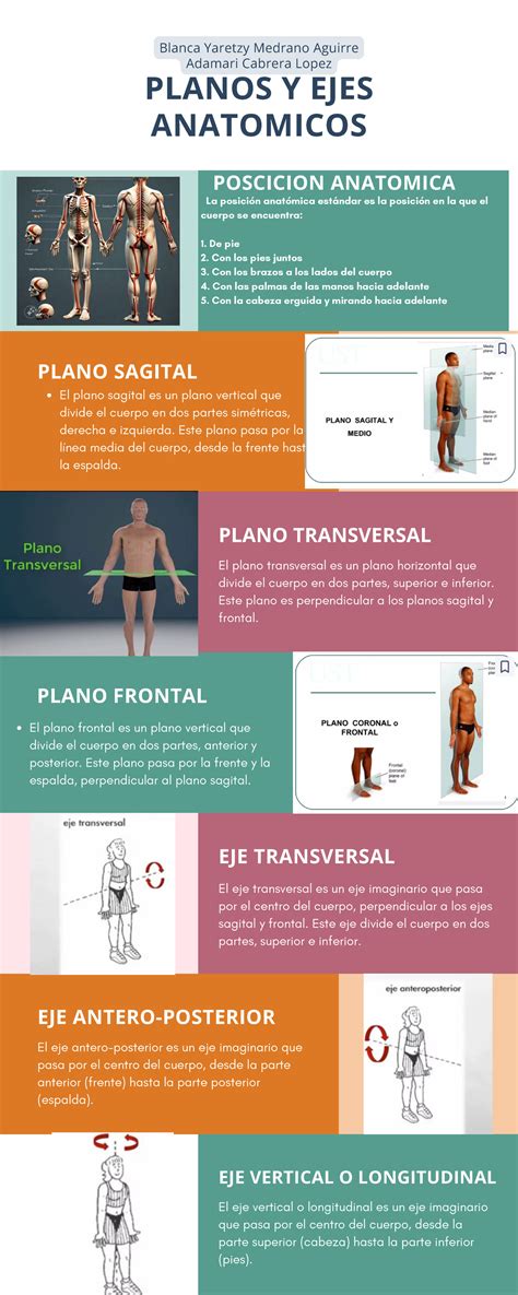 Infografía detallada sobre la posición ergonómica
