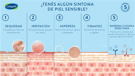 Infografía: Sensibilidad de la piel infantil vs. adulta