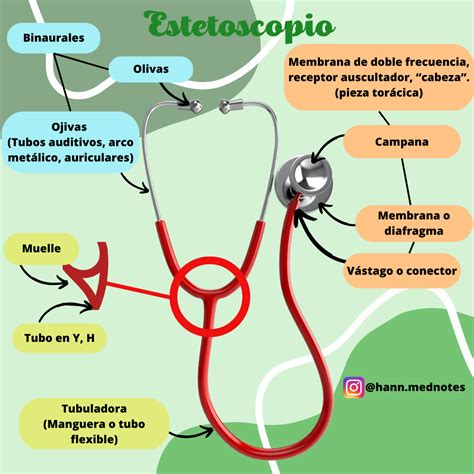 Diagrama de las partes de un estetoscopio Riester Duplex 2.0 Pediátrico destacando el arco anatómico y las olivas