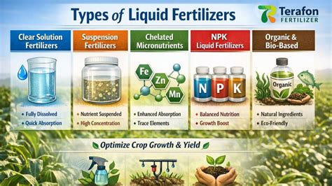 Diversos tipos de fertilizantes líquidos y sólidos para plantas de cannabis