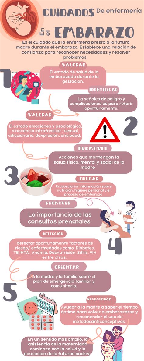 infografía sobre el rol de la doula durante el embarazo y el parto