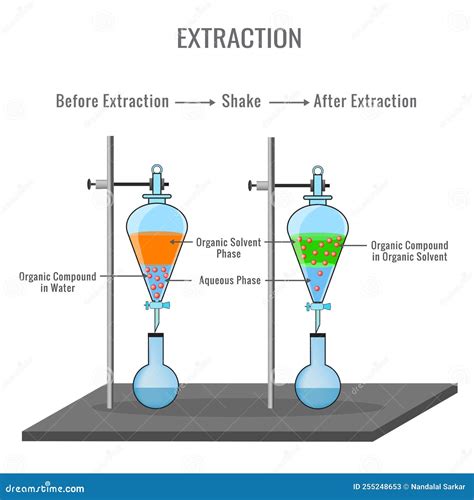 Diagrama ilustrando las dos fases de extracción: estimulación y expresión, con gráficos de frecuencia y fuerza de succión.