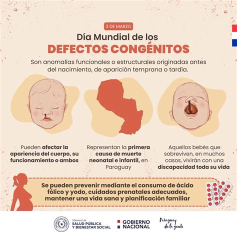 Infografía sobre las causas comunes de defectos congénitos.