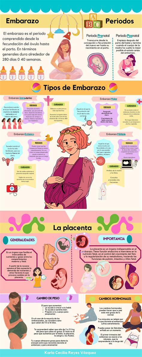 Infografía sobre los cambios en la piel durante el embarazo y consejos de cuidado