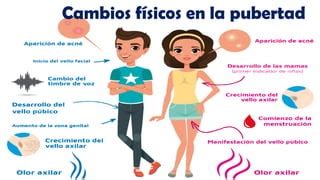 infografía que muestra los cambios físicos de la pubertad en niños y niñas, incluyendo el crecimiento de vello, desarrollo de senos y cambios en la voz.