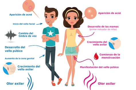 ilustración que detalla los cambios en la forma corporal de las niñas durante la pubertad: ensanchamiento de caderas, desarrollo mamario, y la estructura ósea.