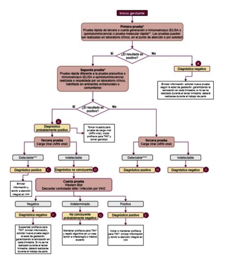 Diagrama de las pruebas de diagnóstico para la secreción mamaria