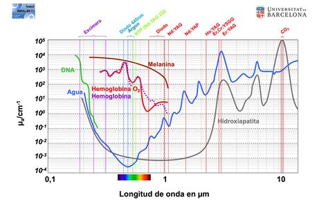 Espectro de absorción de cromóforos y rango de acción de láseres