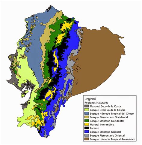 Mapa esquemático de los biomas de Ecuador: desde las laderas andinas y el bosque nublado del Chocó hasta la cuenca del Amazonas.