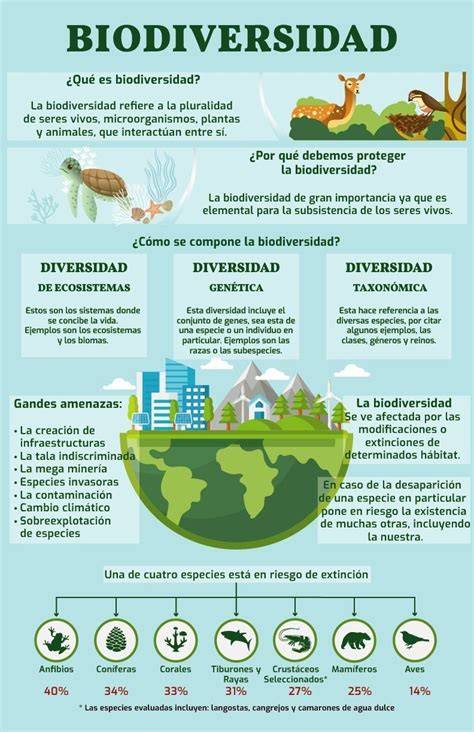 Infografía comparativa: clima, altitud y biodiversidad entre el Amazonas y el Chocó Andino.