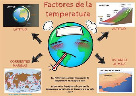 Esquema de los factores ambientales (temperatura, fotoperiodo) que afectan el eje hipotálamo-hipófisis-ovarios en la cerda.
