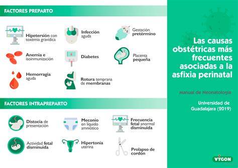 Esquema de las causas de la asfixia perinatal (factores maternos, fetales y placentarios)