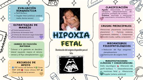 Infografía mostrando los órganos afectados por la hipoxia perinatal