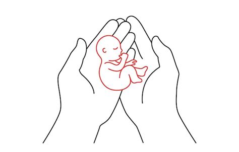Ilustración de manos sosteniendo un bebé, simbolizando protección y cuidado.