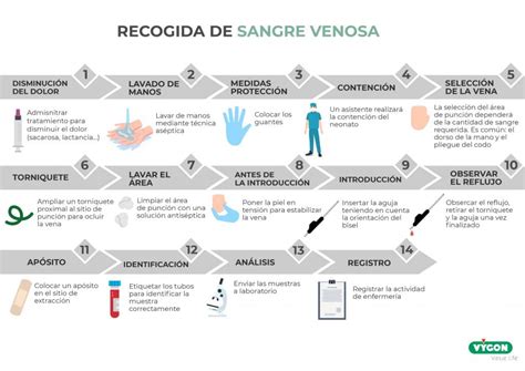 Esquema ilustrativo de los distintos métodos de extracción sanguínea en neonatos: punción capilar (talón), venosa y arterial.