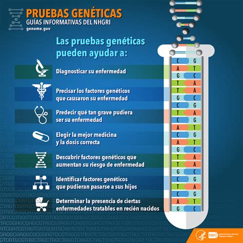 Infografía sobre los tipos de pruebas genéticas para la fertilidad