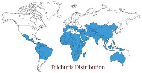 Mapa de distribución mundial de Trichuris trichiura