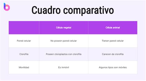 Esquema comparativo de los diferentes tipos de cambiadores: portátiles, muebles con cómoda y abatibles.