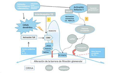 Esquema de los factores patogénicos de la PNALD: factores nutricionales, intestinales y sistémicos