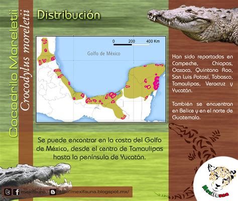 Mapa de distribución del Cocodrilo de Morelet en México, Guatemala y Belice