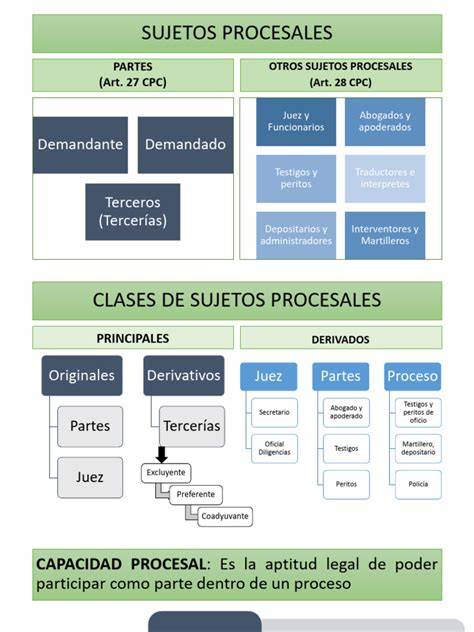 Esquema de los sujetos y roles en un proceso de gestación por sustitución