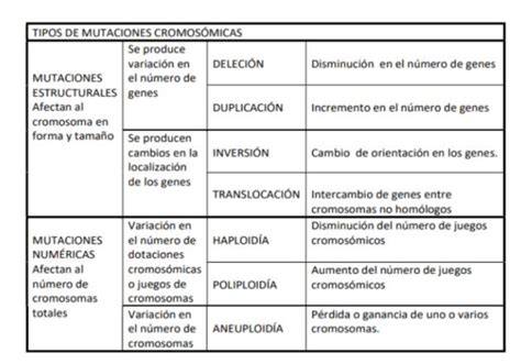 Tabla de mutaciones de color del verderón