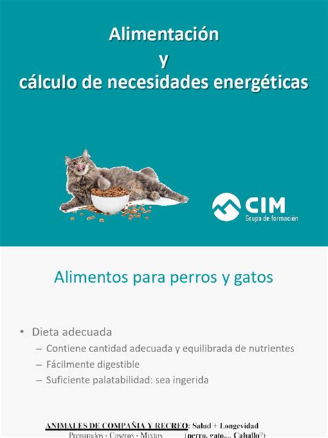 Gráfico comparativo del aumento de necesidades energéticas durante la gestación de la perra