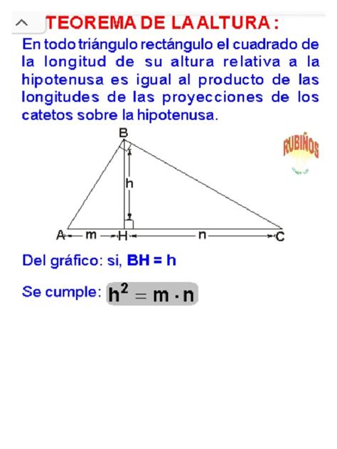 Infografía comparativa sobre la altura y forma del tacón (chupete, cuadrado, acampanado) y cómo estilizan la figura.