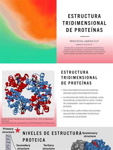 Infografía de la estructura tridimensional del receptor ZP3 en la zona pelúcida