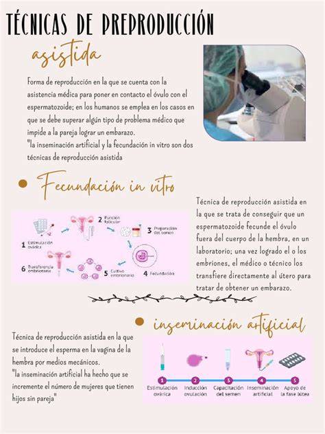 Esquema comparativo de procesos de reproducción asistida