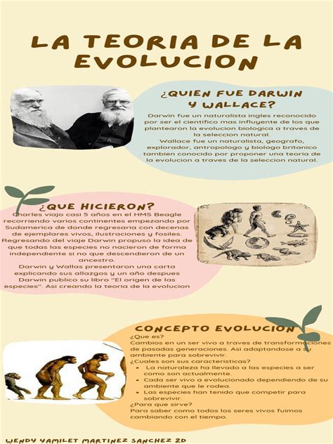 Infografía que muestra la evolución de usos del cojín: soporte para el sueño en el embarazo, apoyo para la lactancia y como reductor de cuna.