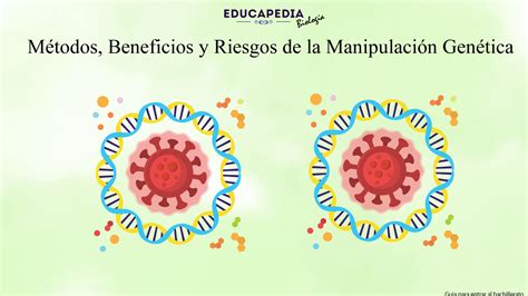 Infografía: Beneficios y riesgos del chupete para el desarrollo bucal