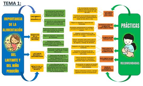 Esquema: reducción porcentual de riesgos de enfermedades en lactantes amamantados.
