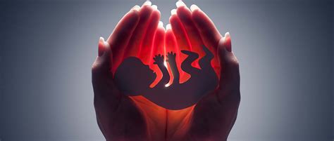 Infografía: Porcentajes de abortos espontáneos por edad gestacional