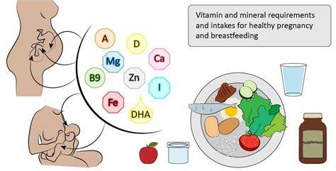 Infographic showing key nutrients for pregnancy with their benefits and food sources