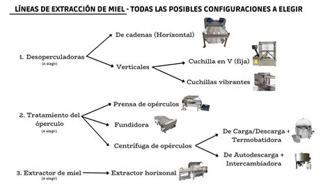 Esquema técnico que ilustra el proceso de extracción de semen mediante técnicas de masaje natural en palomas mensajeras