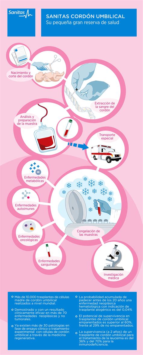 Infografía comparativa de las opciones de conservación de sangre de cordón umbilical: pública vs. privada.