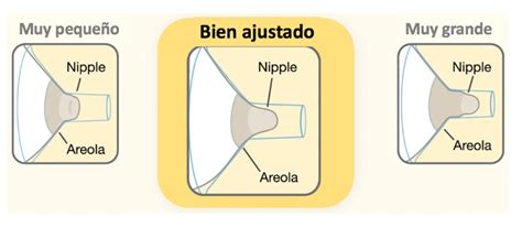 Esquema de las diferentes tallas de embudos para sacaleches y cómo medir el pezón.
